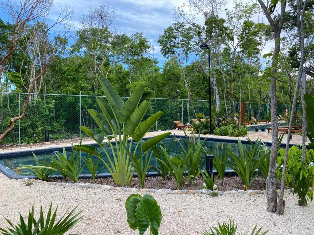Aldea Savia By Andiani Travel Appartement Tulum